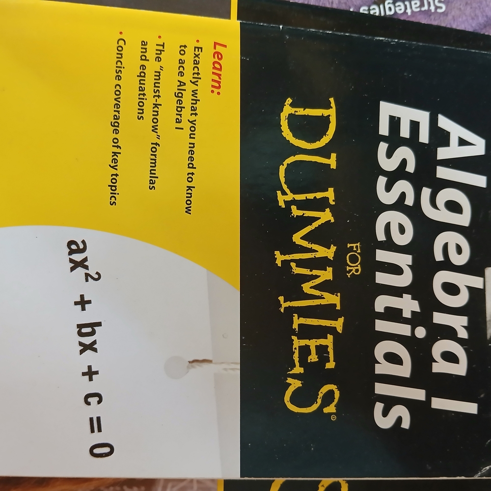 Algebra I Essentials For Dummies Book
